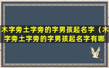 木字旁土字旁的字男孩起名字（木字旁土字旁的字男孩起名字有哪 🌹 些）